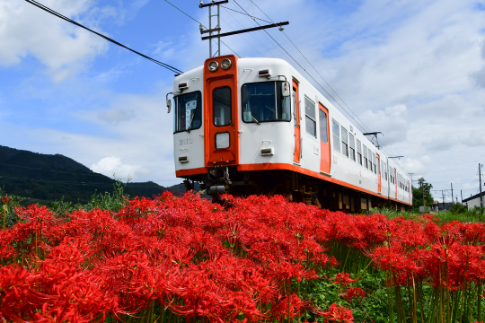 2100系（2103号 2113号）